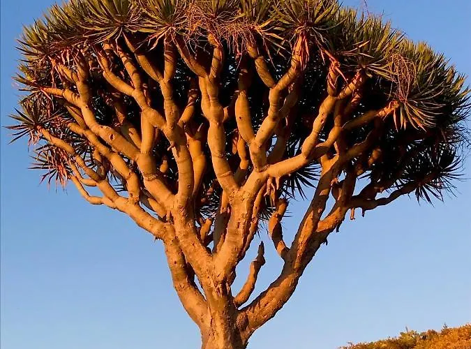 Con Piscina Climatizada Y Vistas Al Mar Willa Puntillo Del Sol
