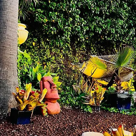 Con Piscina Climatizada Y Vistas Al Mar * Puntillo Del Sol