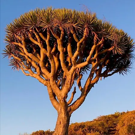Con Piscina Climatizada Y Vistas Al Mar 빌라 Puntillo Del Sol